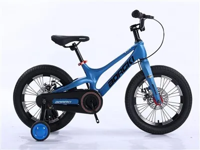 Sepeda Anak Magnesium Alloy dengan Roda Latihan