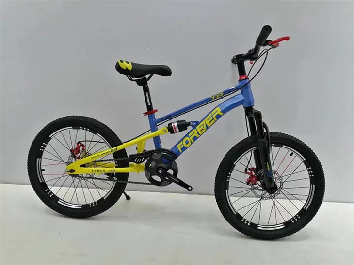 Kids Bicycle 18 Inch Children Bike